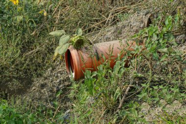 Sokakta yeşil çimlerde büyük, kırmızı, plastik bir lağım borusu.