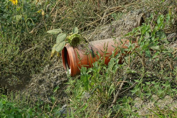 Jeden Duży Brudny Czerwony Plastik Rura Ściekowa Zielonej Trawie Ulicy — Zdjęcie stockowe