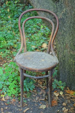 Eski kahverengi ahşap bir sandalye dışarıda duruyor yaz bahçesindeki yeşil bitki örtüsünde.