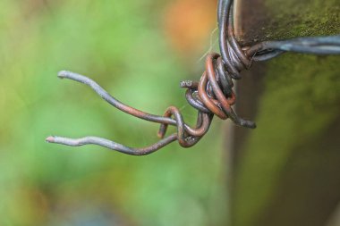 Yazlık bir sokakta demir bir direkte yeşil bir arka planda kahverengi bakır tel yarası.