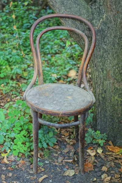 Eski kahverengi ahşap bir sandalye dışarıda duruyor yaz bahçesindeki yeşil bitki örtüsünde.