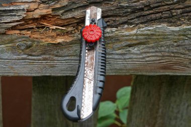 Bir adet siyah kırmızı plastik kırtasiye bıçağı. Yazlık bir sokakta eski bir tahtadan çıkan gri çelik bıçaklı.