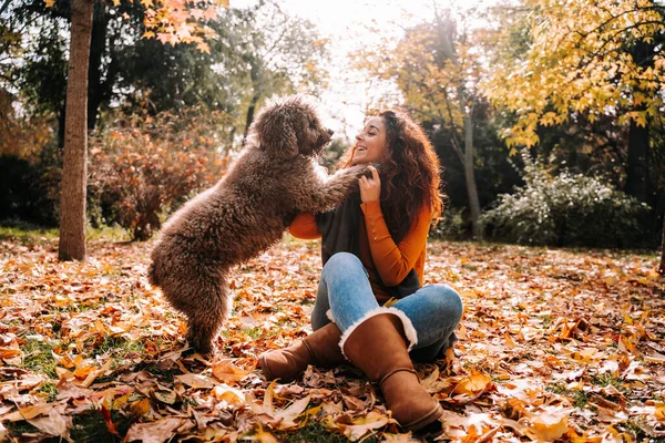 Brunette Woman Playing Her Dog Park Sunny Autumnal Day She — Stock Photo, Image