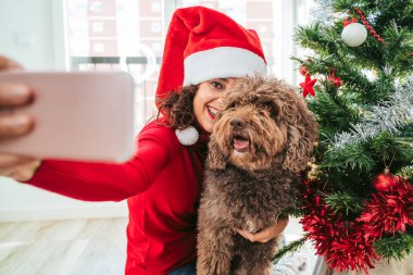 Güzel bir esmer kadın telefonuyla fotoğraf çekerken İspanyol su köpeğiyle eğleniyor. O bir Noel Baba şapkası ve kırmızı bir kazak giyiyor. Aile köpeği Noel ağacı konsepti