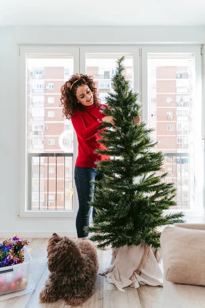 Krásná Brunetka Žena Zdobí Vánoční Stromek Svým Psem Doma Připravuje — Stock fotografie