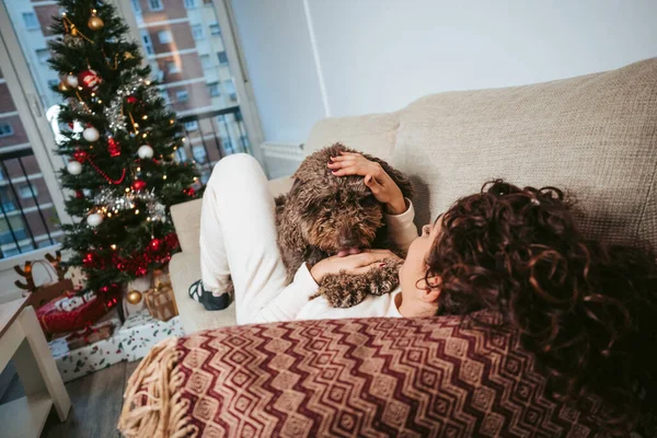 A brunette woman lying on the sofa with her Spanish water dog while enjoying her company on Christmas holidays. The dog is kissing its owner\'s hand. Family dog Christmas concept