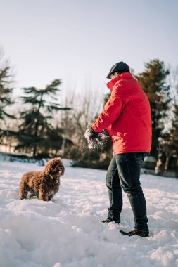 Güneşli bir günde köpeğiyle karda oynayan bir adam. O, onu evcil hayvana atarken kartopunu onun elleriyle eritiyor. Köpek onun için bekliyor. Aile köpekleri kar konseptinde bir günün tadını çıkarırlar.