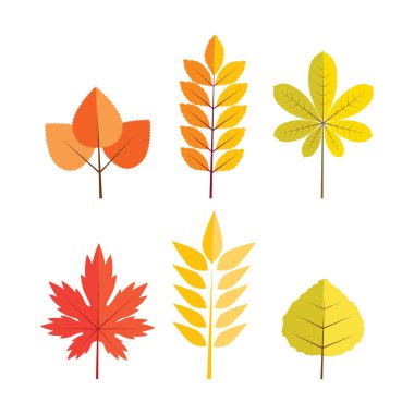 Beyaz arkaplanda sonbahar yaprakları