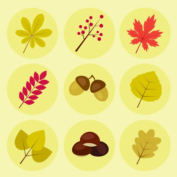 Icônes d'automne avec différentes feuilles et glands — Image vectorielle