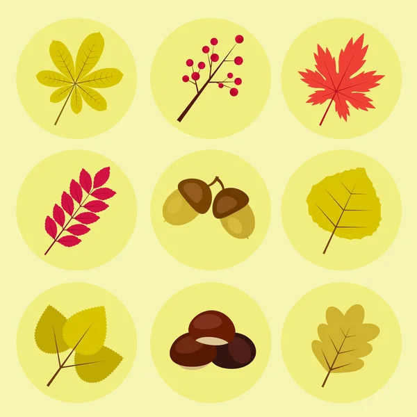 Hösten ikoner med olika löv och ekollon Royaltyfria illustrationer