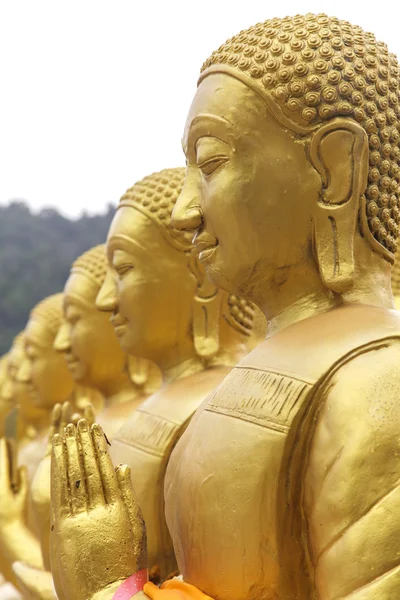 Buddha statuer, Buddha statuer i Thailand - Stock-foto