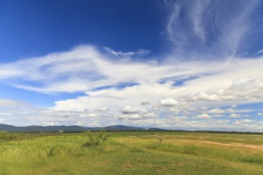  Mavi gökyüzü olan kırsal alan