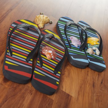 Deniz kabuğu ile terlik