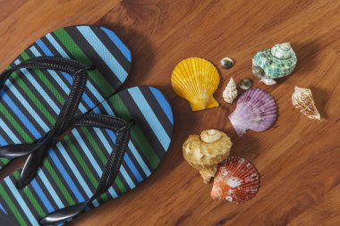 Deniz kabuğu ile terlik