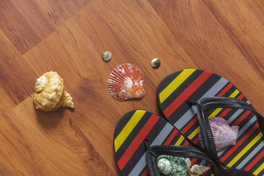 Deniz kabuğu ile terlik