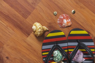 Deniz kabuğu ile terlik