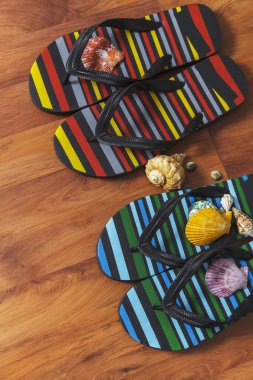 Deniz kabuğu ile terlik