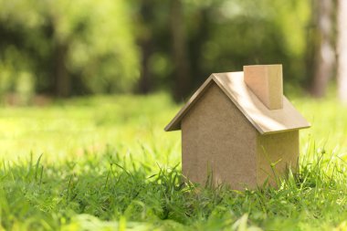 Yeşil çimenlerin üzerinde ahşap ev