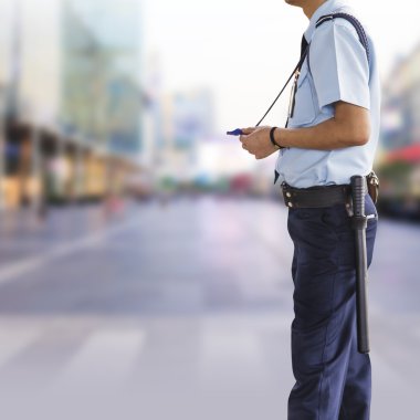 Güvenlik görevlisi, profesyonel güvenlik