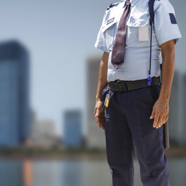 Güvenlik görevlisi, profesyonel güvenlik