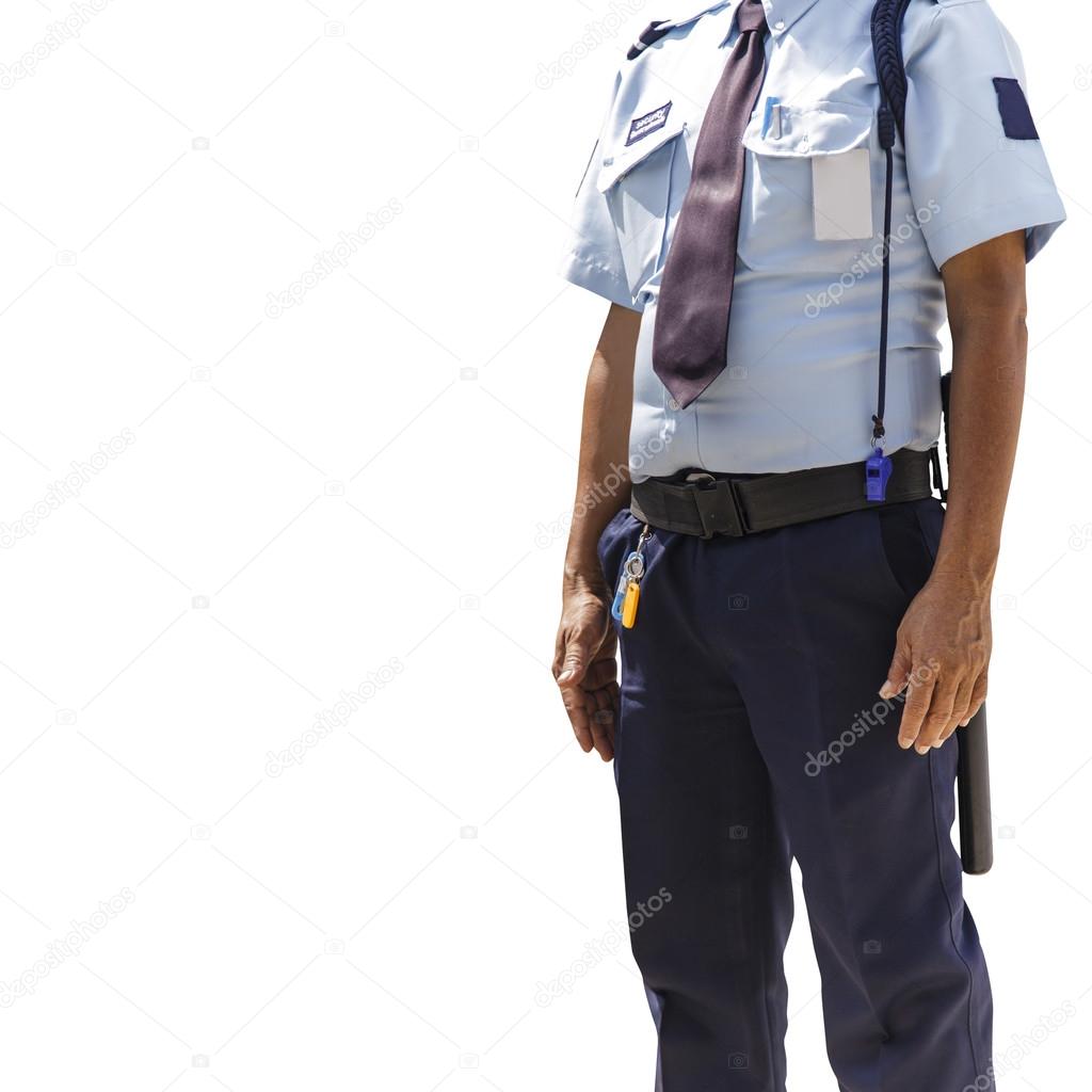 Security guard, Professional Security