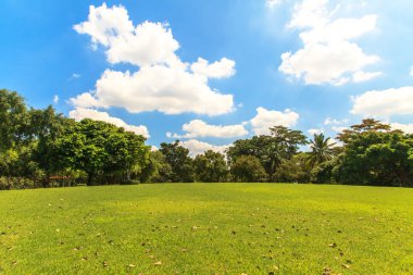 Mavi gökyüzü üzerinde güzel park