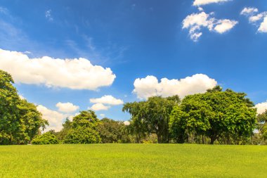 Mavi gökyüzü üzerinde güzel park