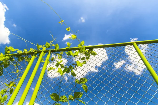 Drahtzaun auf blauem Himmel Hintergrund — Stockfoto