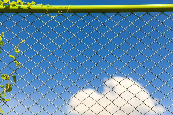 Wired fence on blue sky background — Stock Photo, Image