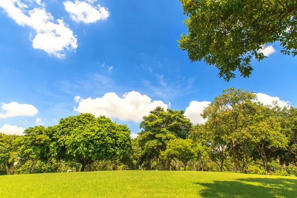 Schöner Park über blauem Himmel — Stockfoto