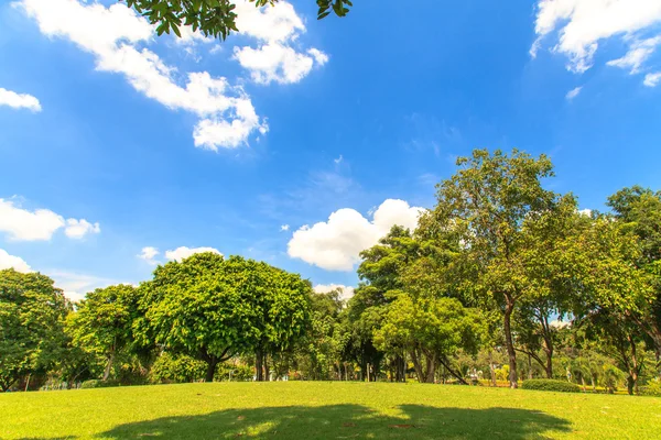 Vacker park under blå himmel — Stockfoto