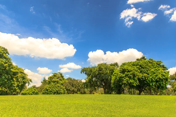 Vacker park under blå himmel — Stockfoto