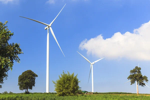 Ветряная турбина возобновляемых источников энергии летний пейзаж с голубым небом — стоковое фото