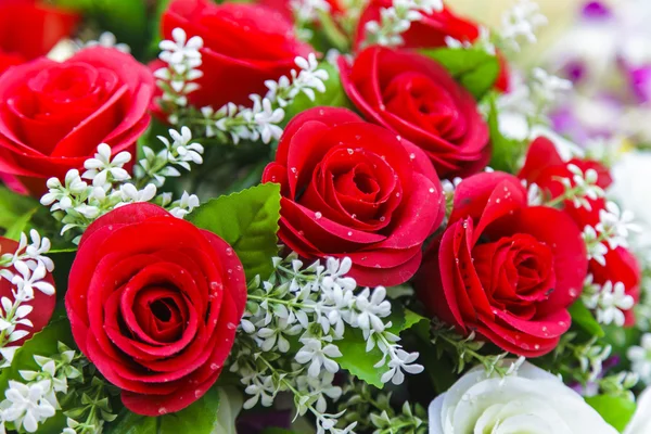 güzel kırmızı gül