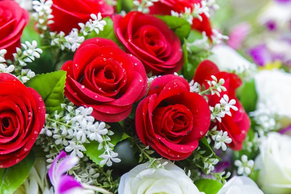 güzel kırmızı gül