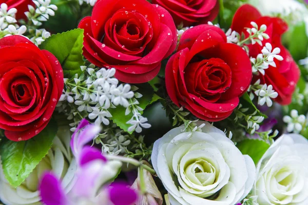 güzel kırmızı gül