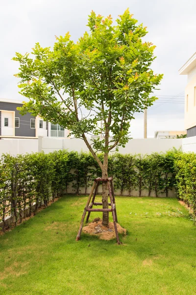 Garten in neuen Reihenhäusern — Stockfoto