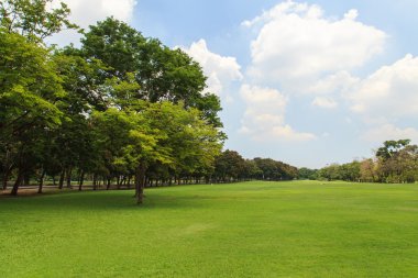 Güzel park