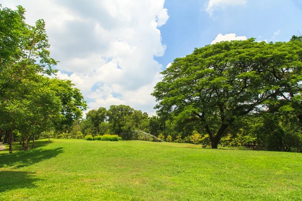 Vacker park — Stockfoto