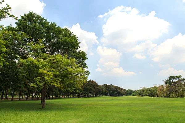 Schöner Park — Stockfoto