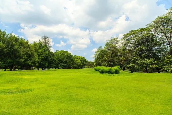 Vacker park — Stockfoto