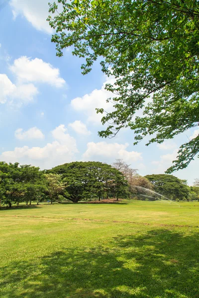 Belo parque — Fotografia de Stock