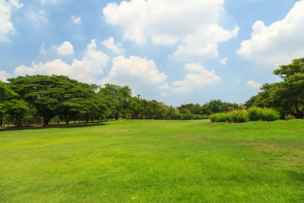 Beautiful park — Stock Photo, Image