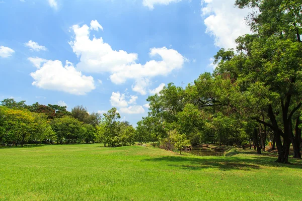 Krásný park — Stock fotografie