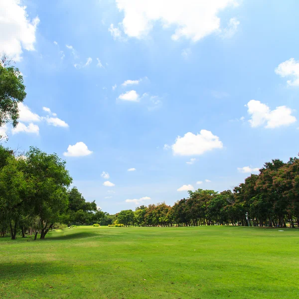 Güzel park — Stok fotoğraf