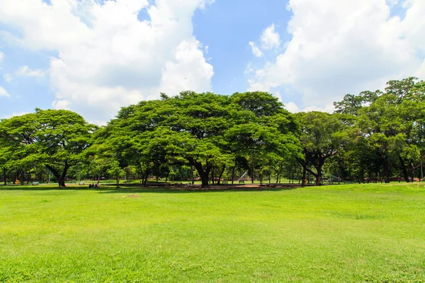 Piękny park — Zdjęcie stockowe