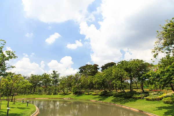 Hermoso parque — Foto de Stock