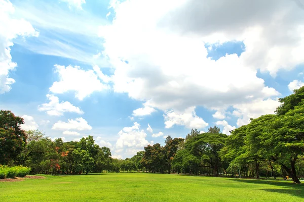 Vacker park — Stockfoto