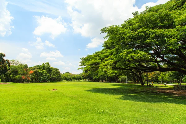 Vacker park — Stockfoto