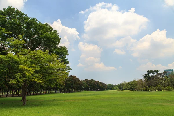 Piękny park — Zdjęcie stockowe